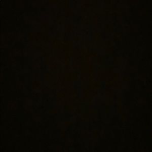 Meet your Posher, Adriana